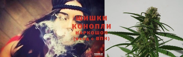 стафф Магас