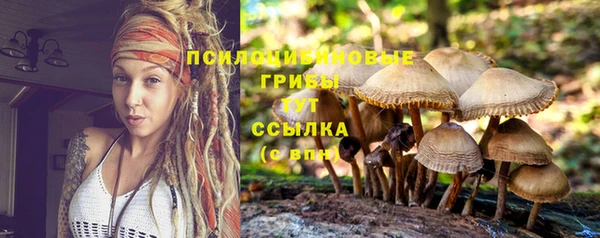 mdpv Майский