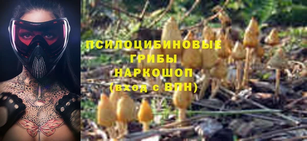 mdpv Майский